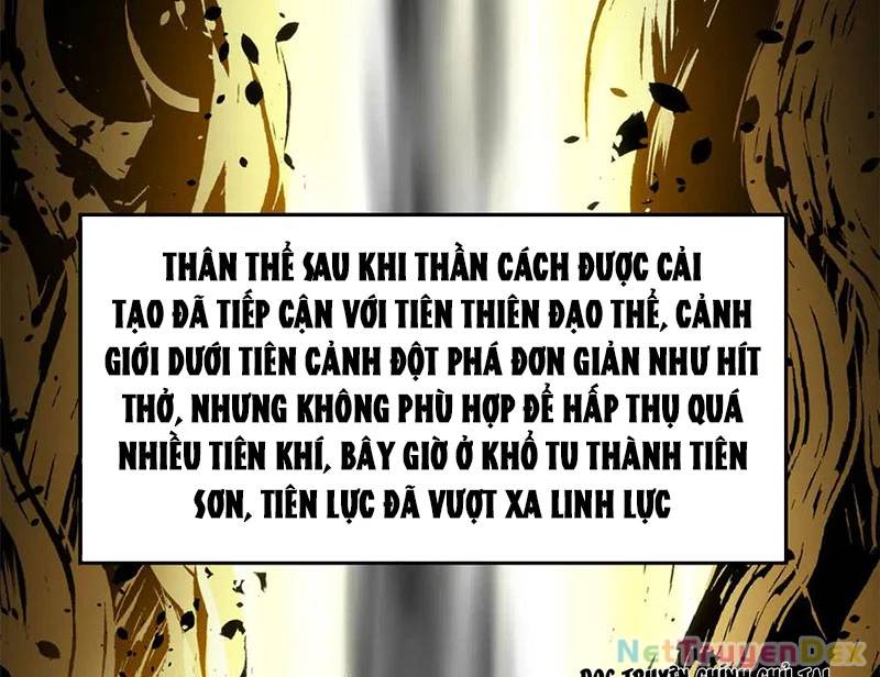 Đỉnh Cấp Khí Vận, Lặng Lẽ Tu Luyện Ngàn Năm
