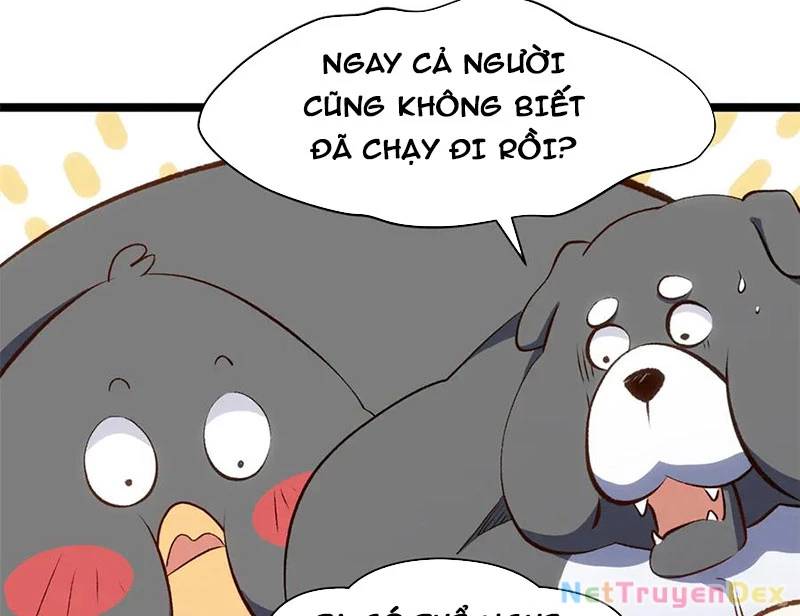 Đỉnh Cấp Khí Vận, Lặng Lẽ Tu Luyện Ngàn Năm