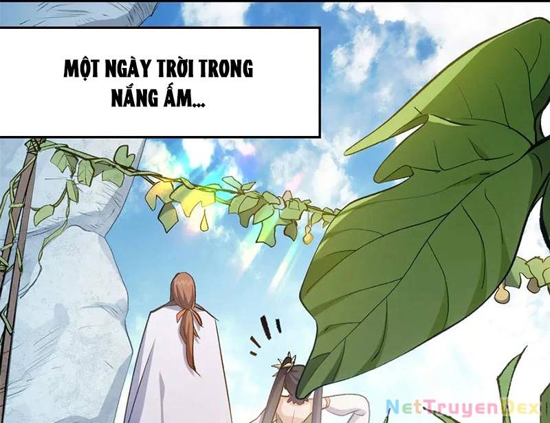 Đỉnh Cấp Khí Vận, Lặng Lẽ Tu Luyện Ngàn Năm