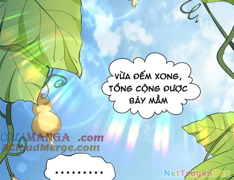 Đỉnh Cấp Khí Vận, Lặng Lẽ Tu Luyện Ngàn Năm