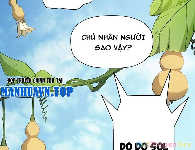 Đỉnh Cấp Khí Vận, Lặng Lẽ Tu Luyện Ngàn Năm