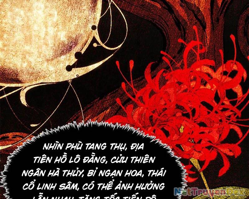Đỉnh Cấp Khí Vận, Lặng Lẽ Tu Luyện Ngàn Năm