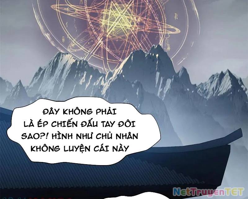 Đỉnh Cấp Khí Vận, Lặng Lẽ Tu Luyện Ngàn Năm