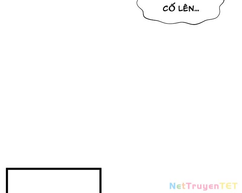 Đỉnh Cấp Khí Vận, Lặng Lẽ Tu Luyện Ngàn Năm