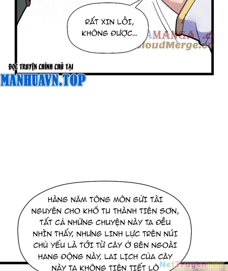 Đỉnh Cấp Khí Vận, Lặng Lẽ Tu Luyện Ngàn Năm