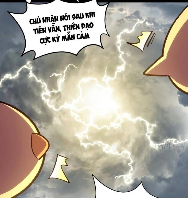Đỉnh Cấp Khí Vận, Lặng Lẽ Tu Luyện Ngàn Năm