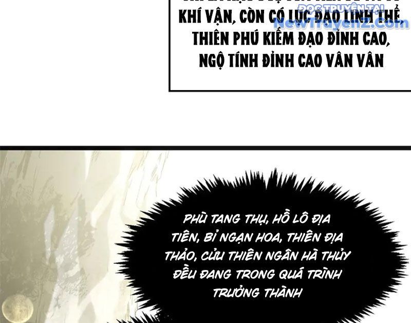 Đỉnh Cấp Khí Vận, Lặng Lẽ Tu Luyện Ngàn Năm