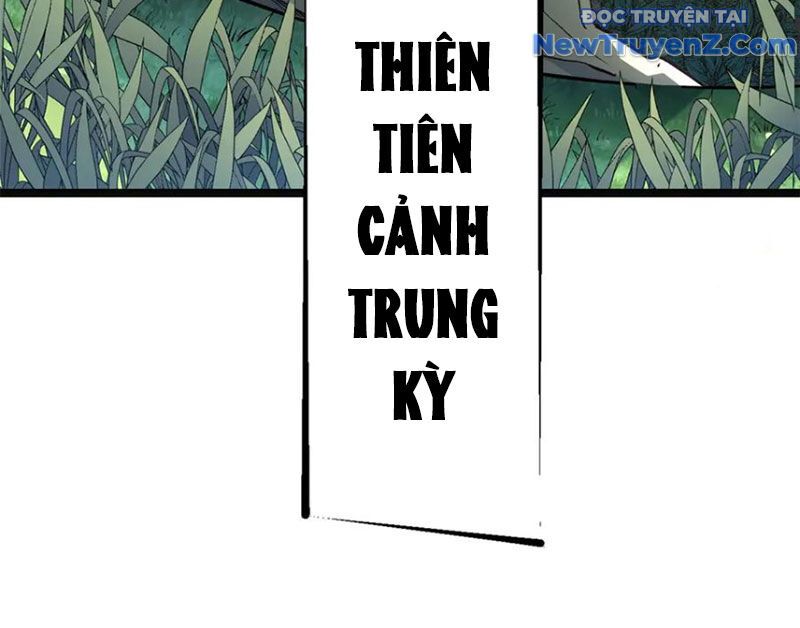 Đỉnh Cấp Khí Vận, Lặng Lẽ Tu Luyện Ngàn Năm