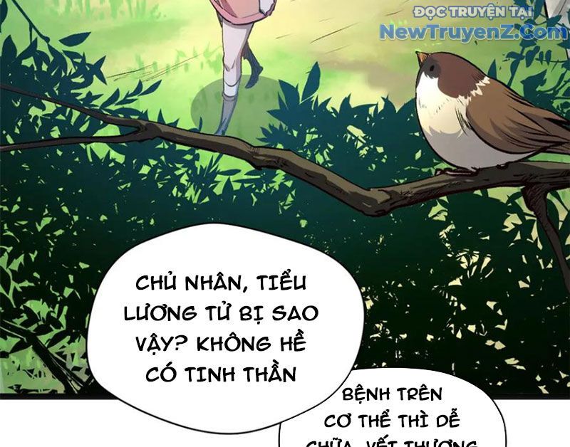 Đỉnh Cấp Khí Vận, Lặng Lẽ Tu Luyện Ngàn Năm