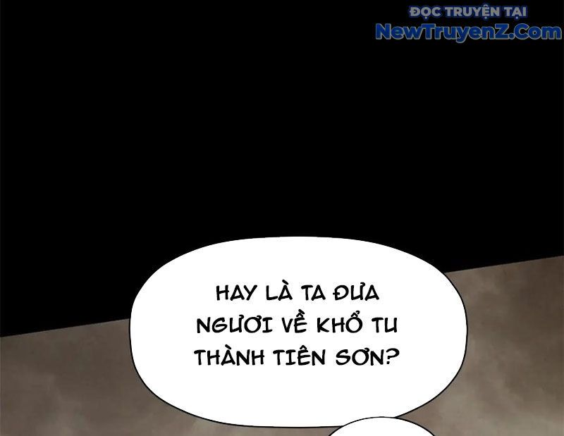 Đỉnh Cấp Khí Vận, Lặng Lẽ Tu Luyện Ngàn Năm
