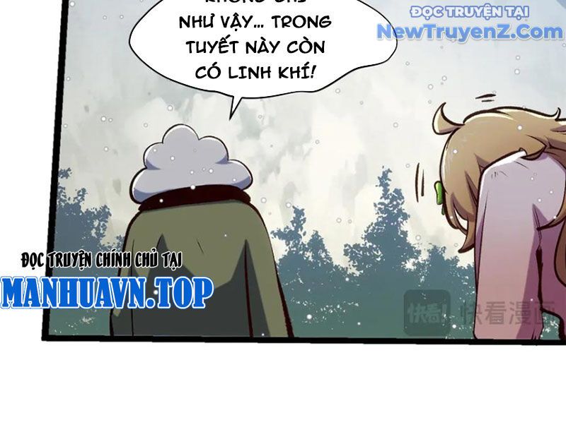 Đỉnh Cấp Khí Vận, Lặng Lẽ Tu Luyện Ngàn Năm