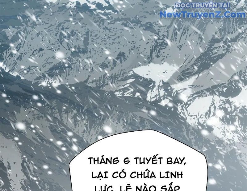 Đỉnh Cấp Khí Vận, Lặng Lẽ Tu Luyện Ngàn Năm