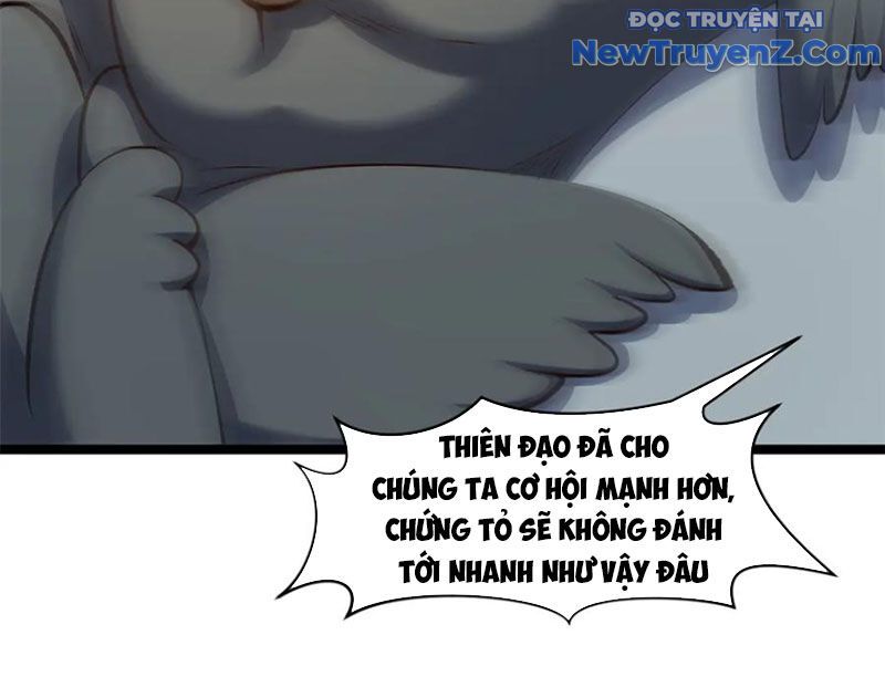 Đỉnh Cấp Khí Vận, Lặng Lẽ Tu Luyện Ngàn Năm