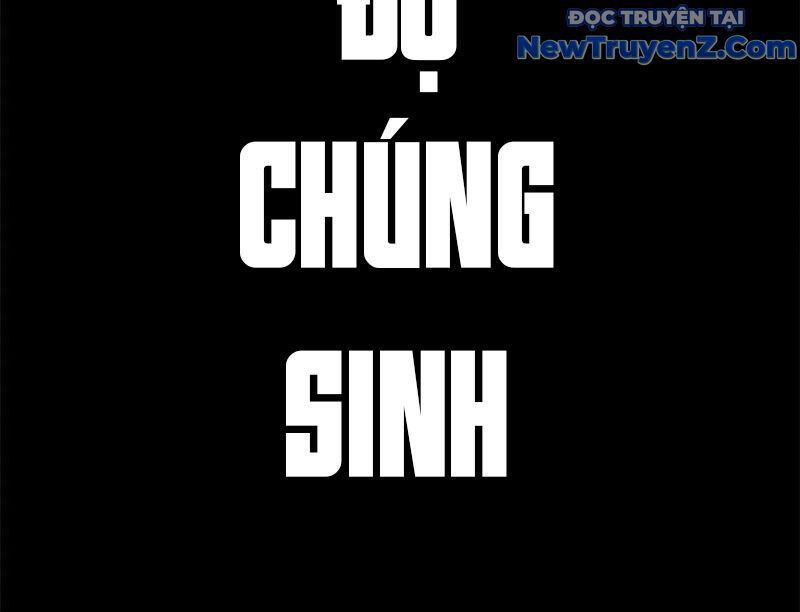 Đỉnh Cấp Khí Vận, Lặng Lẽ Tu Luyện Ngàn Năm