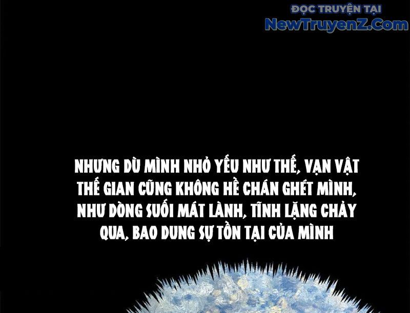 Đỉnh Cấp Khí Vận, Lặng Lẽ Tu Luyện Ngàn Năm