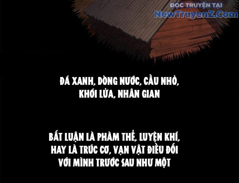 Đỉnh Cấp Khí Vận, Lặng Lẽ Tu Luyện Ngàn Năm