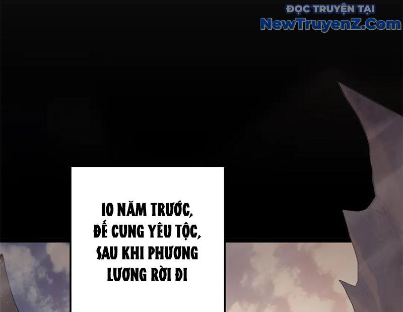 Đỉnh Cấp Khí Vận, Lặng Lẽ Tu Luyện Ngàn Năm