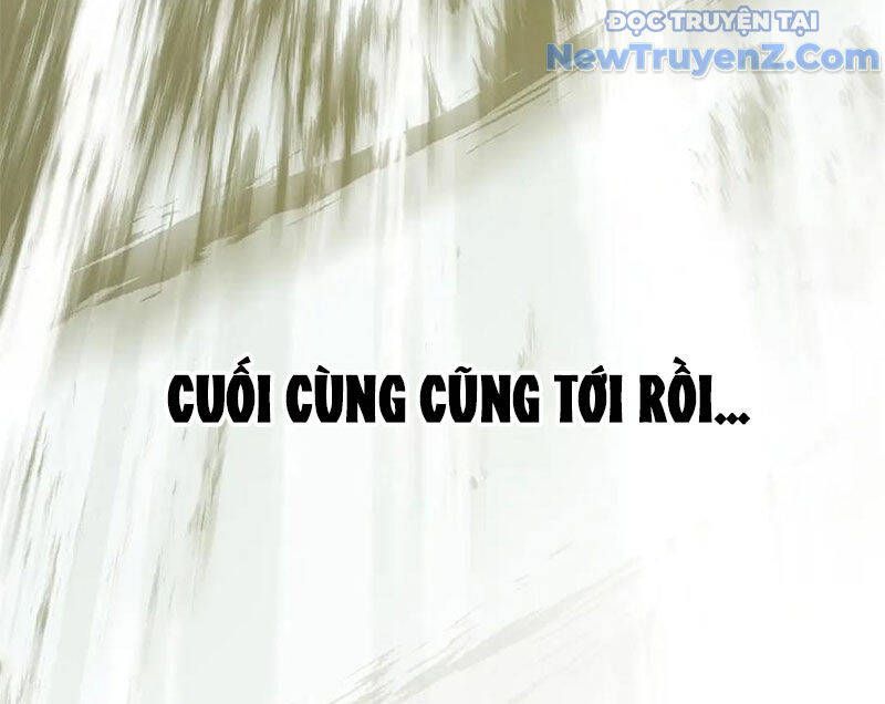 Đỉnh Cấp Khí Vận, Lặng Lẽ Tu Luyện Ngàn Năm
