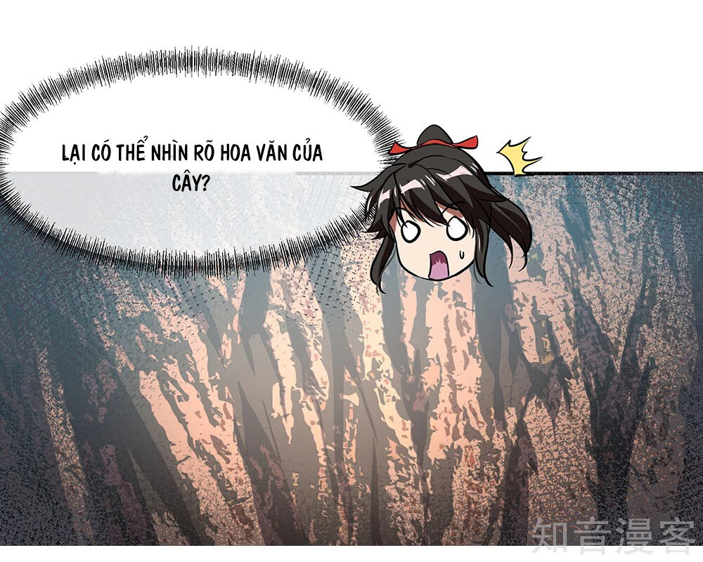 Chiến Hồn Tuyệt Thế