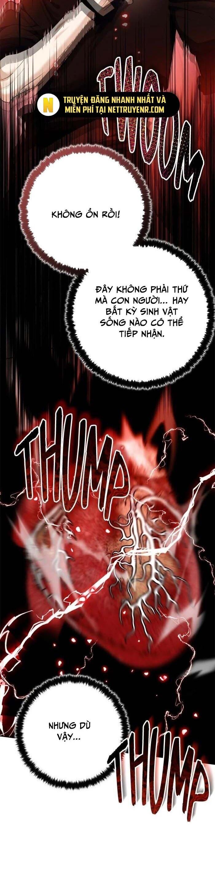 Trở Lại Thành Người Chơi
