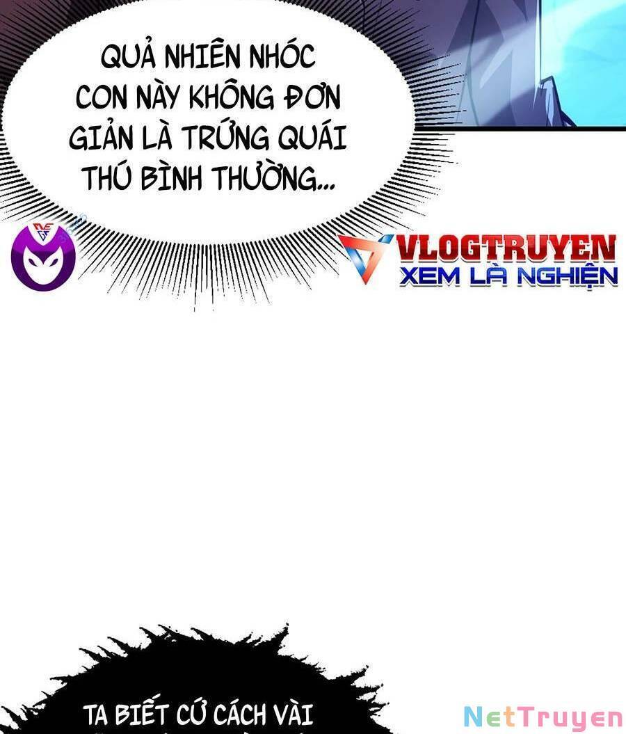 Mạt Thế Quật Khởi