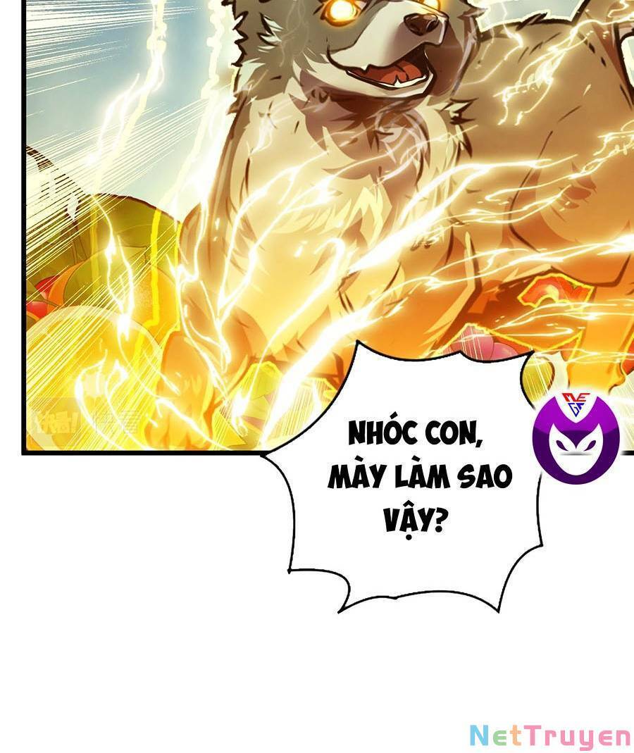 Mạt Thế Quật Khởi
