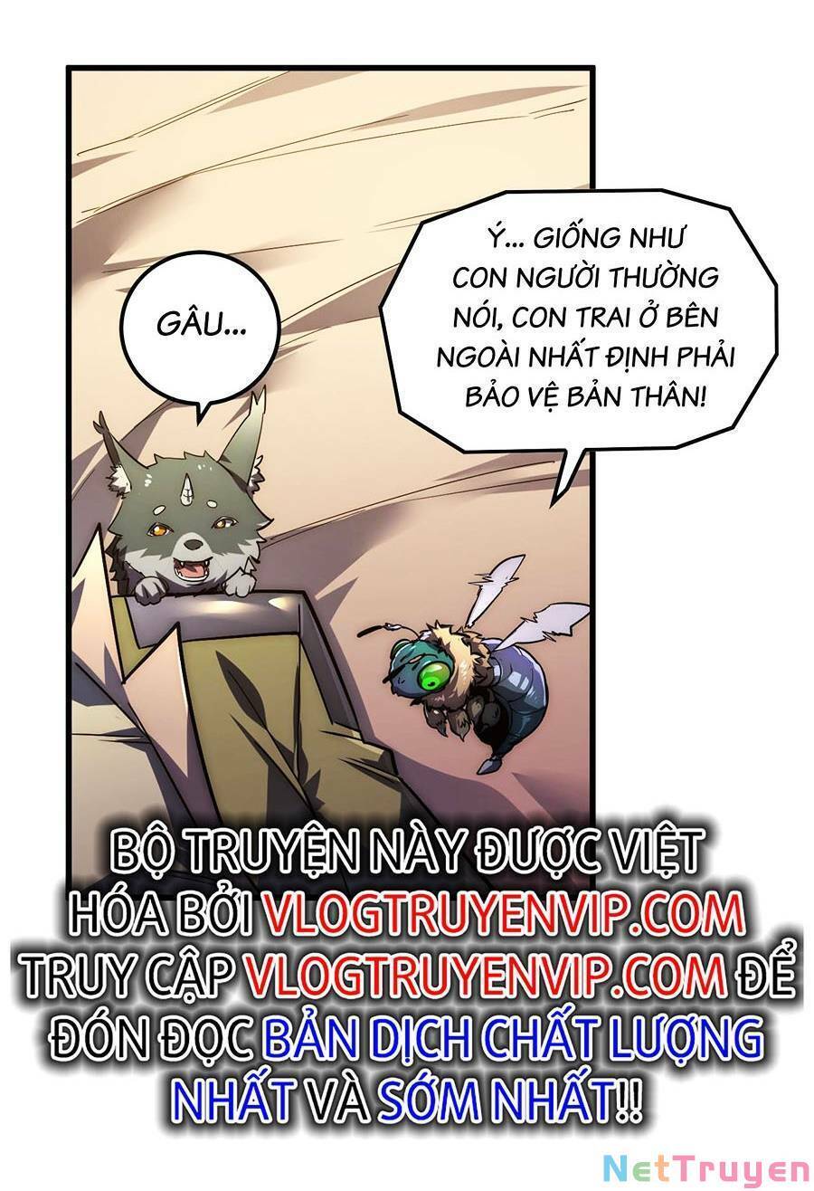 Mạt Thế Quật Khởi