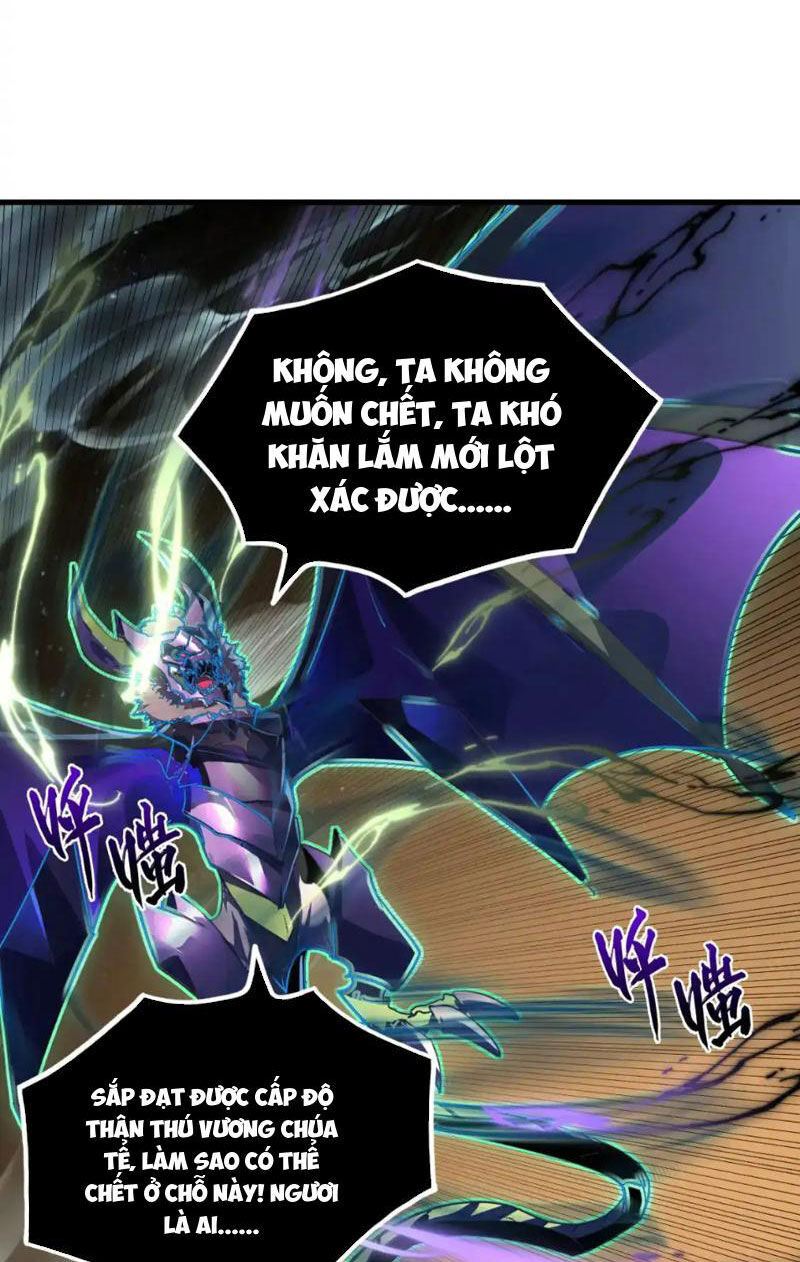 Mạt Thế Quật Khởi