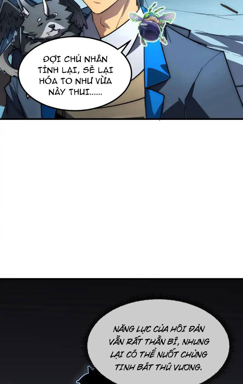 Mạt Thế Quật Khởi