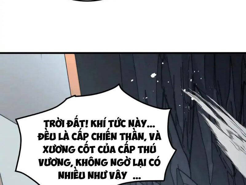 Mạt Thế Quật Khởi
