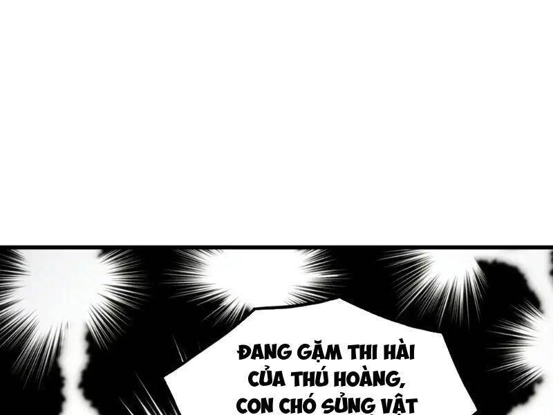 Mạt Thế Quật Khởi