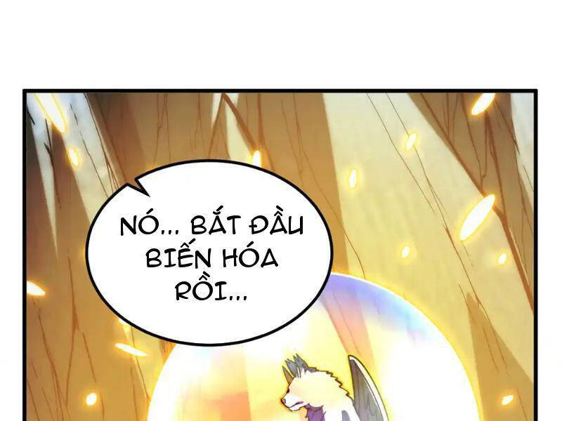Mạt Thế Quật Khởi