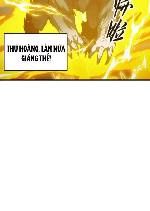 Mạt Thế Quật Khởi