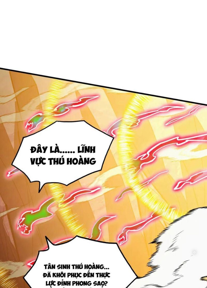 Mạt Thế Quật Khởi