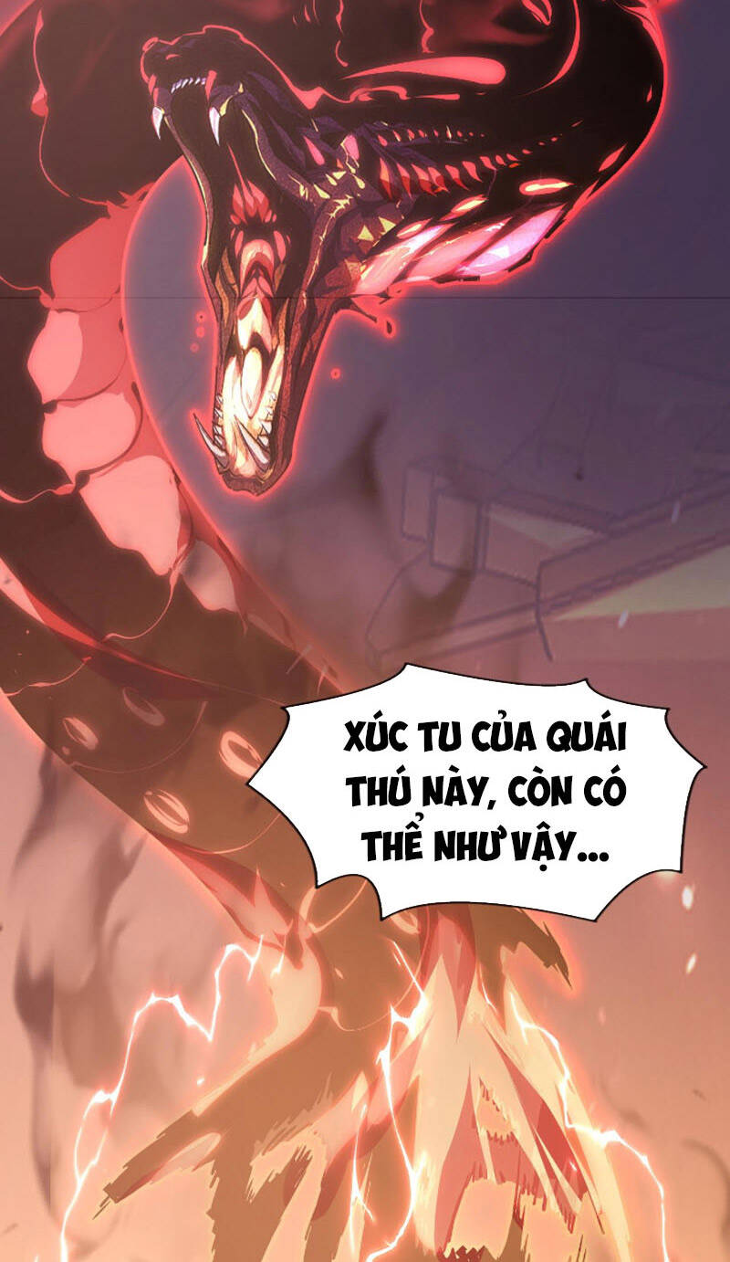 Mạt Thế Quật Khởi