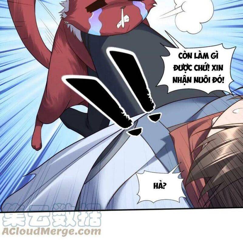 Bắt Đầu Từ Độ Kiếp