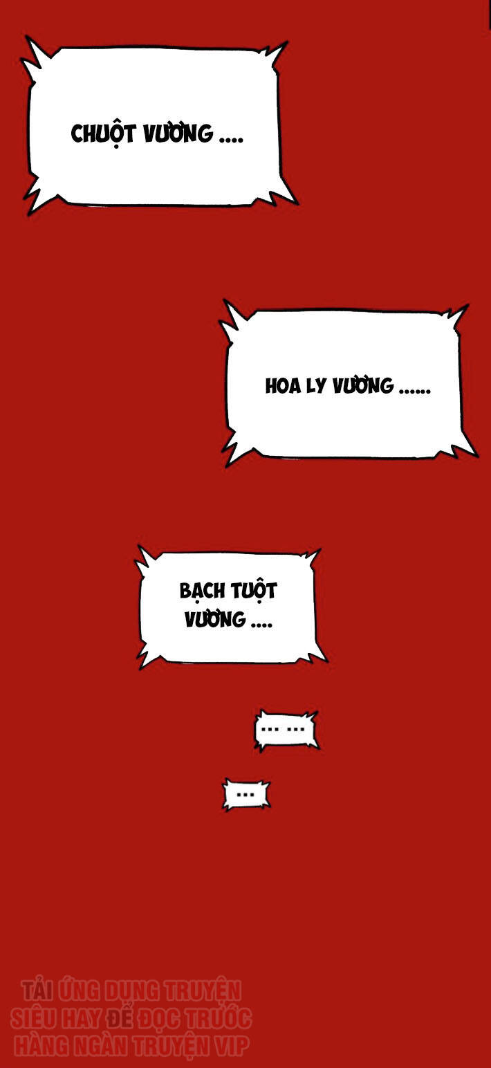 Thánh Khư