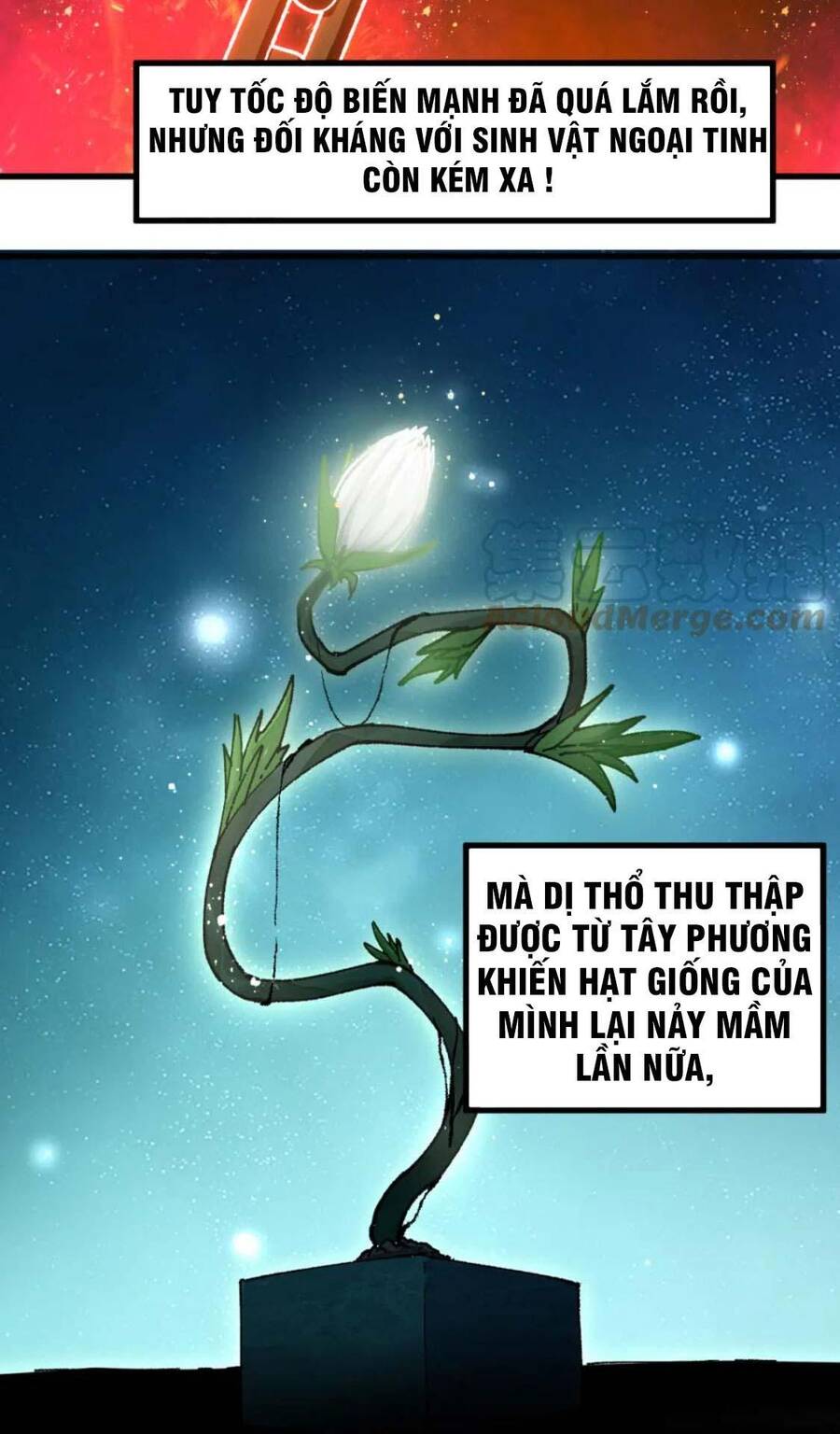 Thánh Khư