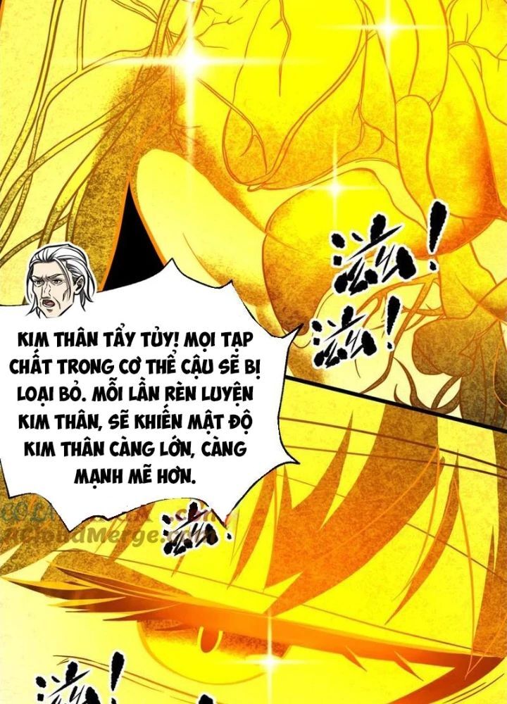 Toàn Cầu Cao Võ