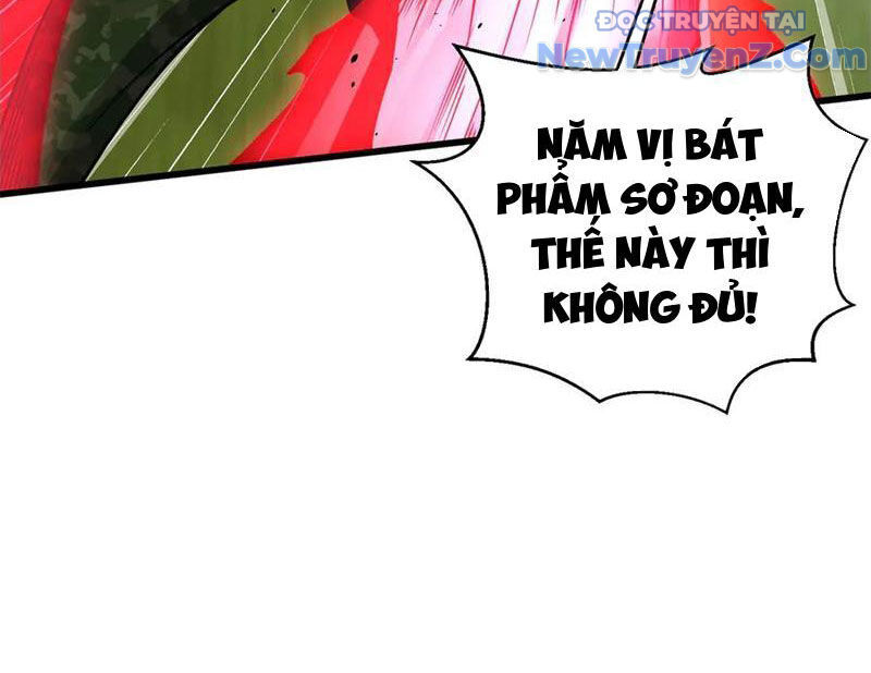 Toàn Cầu Cao Võ