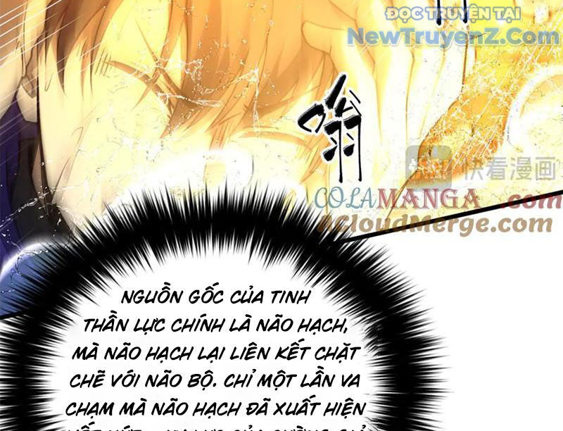 Toàn Cầu Cao Võ