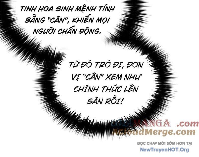Toàn Cầu Cao Võ