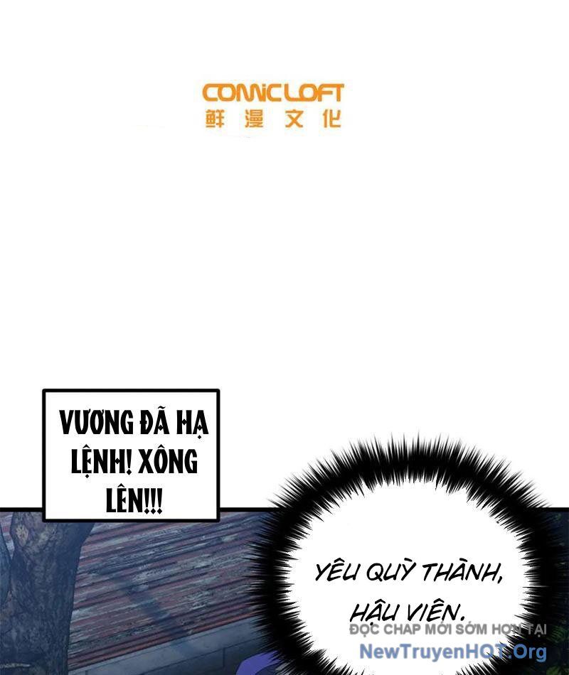 Toàn Cầu Cao Võ