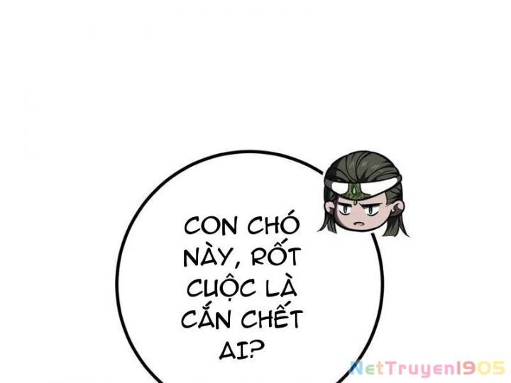 Toàn Cầu Cao Võ