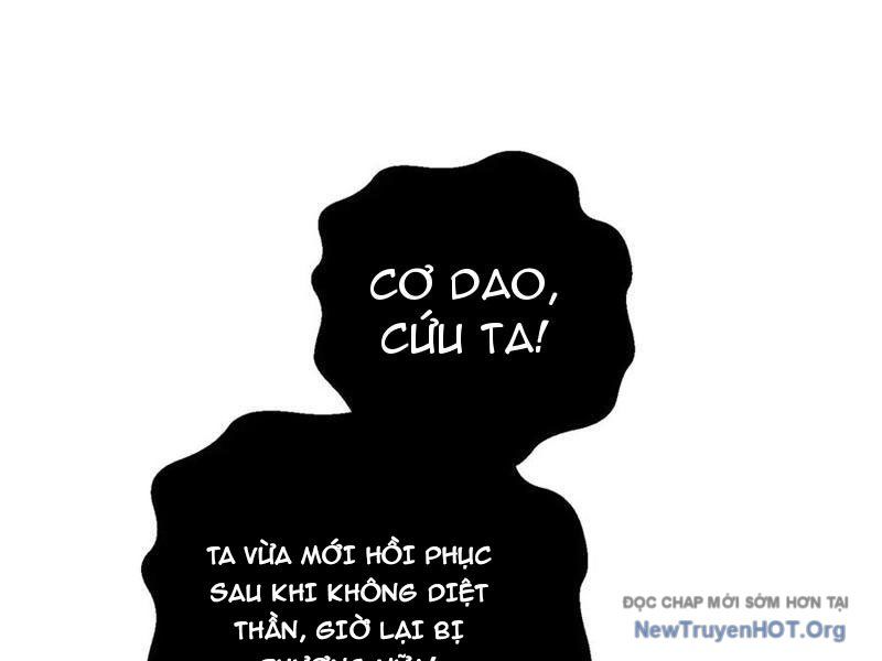 Toàn Cầu Cao Võ