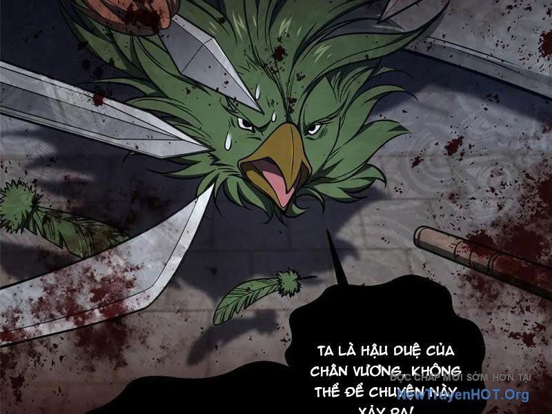 Toàn Cầu Cao Võ