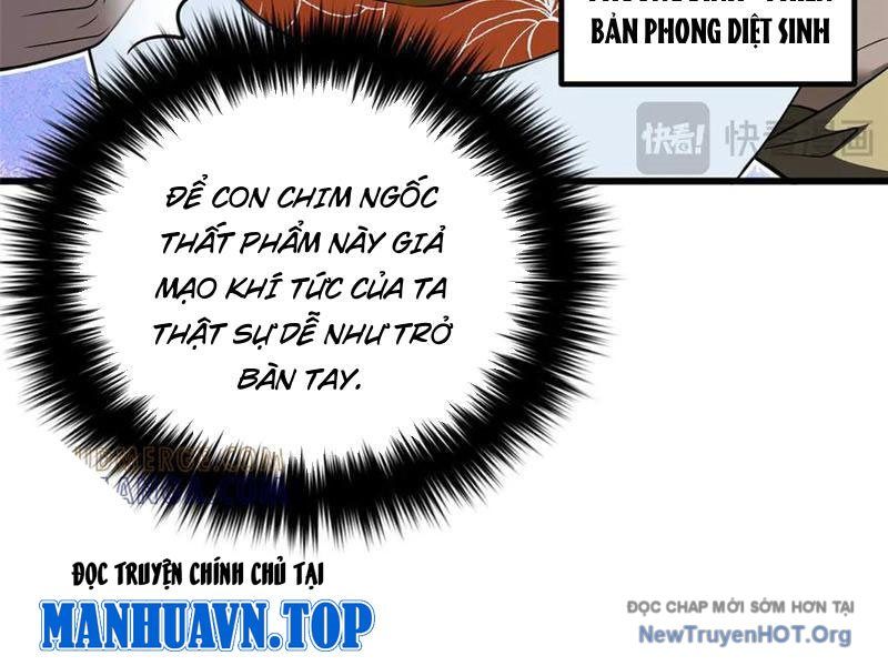 Toàn Cầu Cao Võ