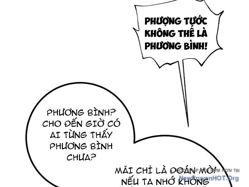 Toàn Cầu Cao Võ