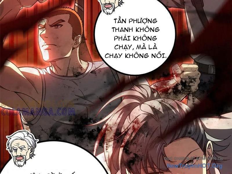 Toàn Cầu Cao Võ