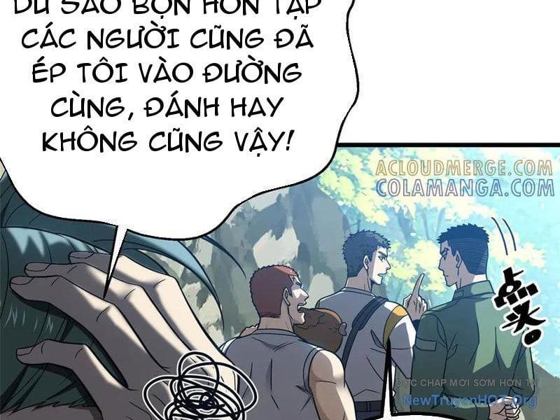 Toàn Cầu Cao Võ
